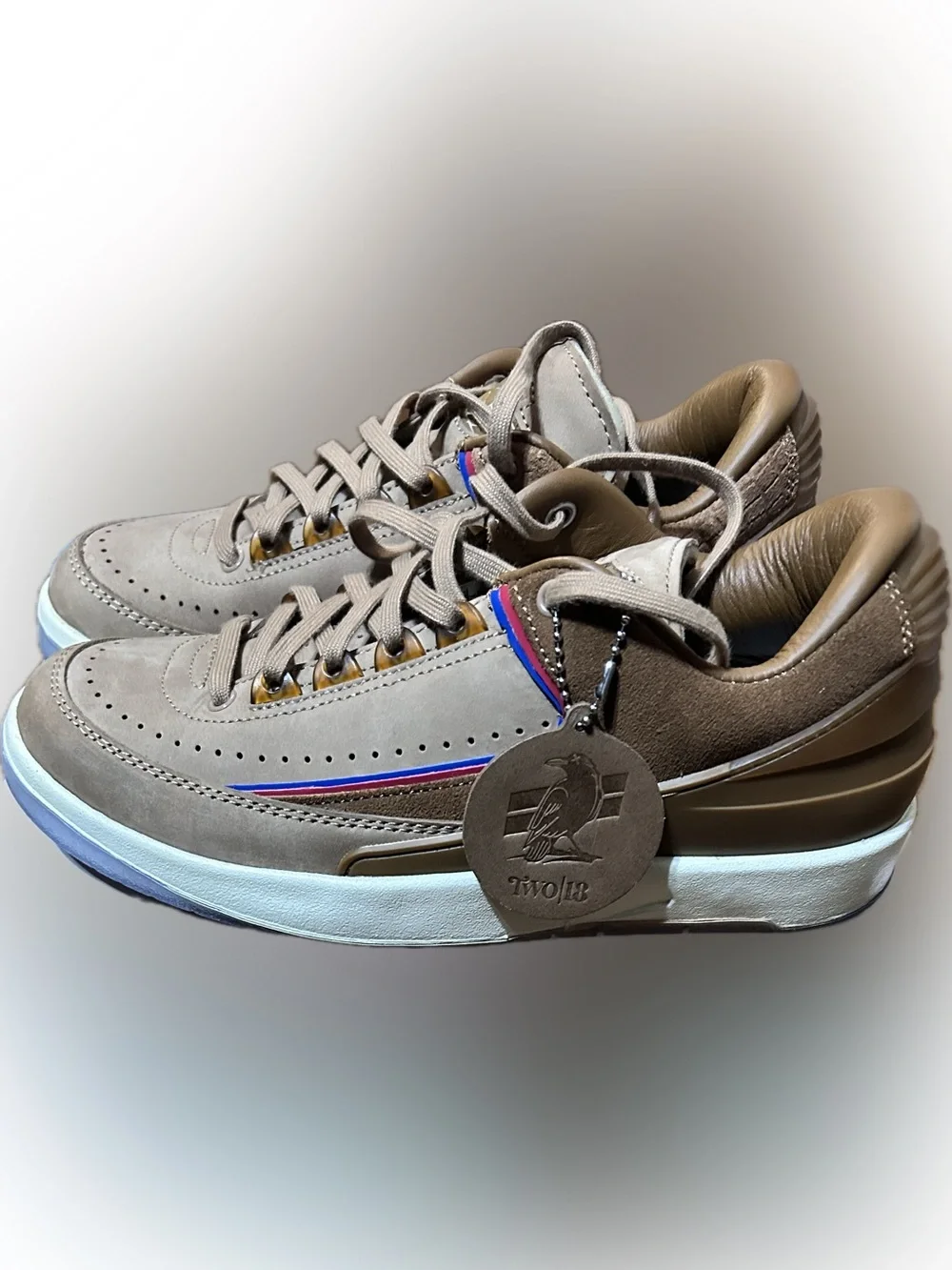 Jordan Retro 2 Low SP 